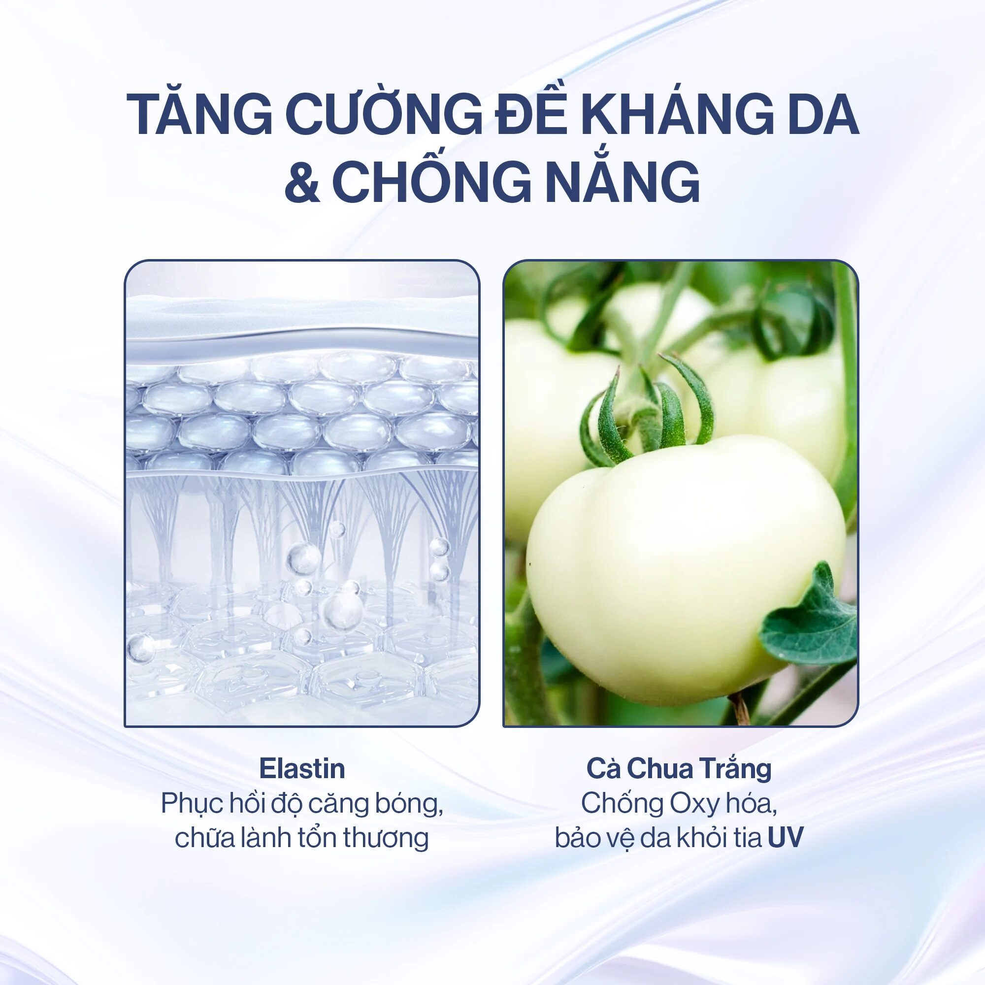 [Review] Bột Ngậm Trắng Da Hàn Quốc Glow White Premium Glutathione C Gilaa Có Thực Sự Tốt? 4