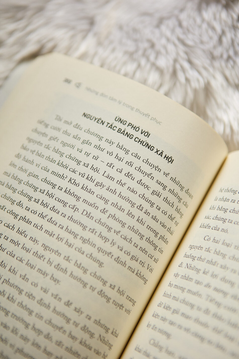 3. Sáu 