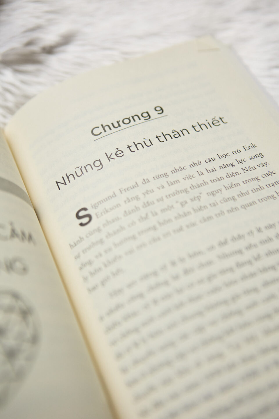 3. 5 thành phần then chốt của Trí Tuệ Cảm Xúc: Chìa khóa để làm chủ bản thân